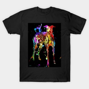 Greyhound Black Grunge T-Shirt